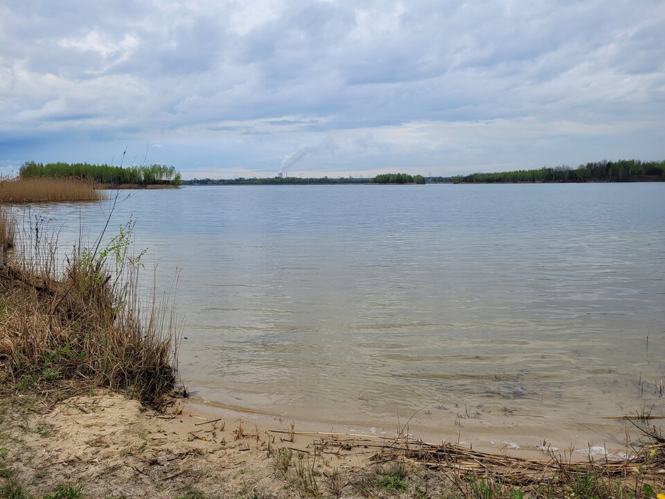 20250418_111406.jpg - Marcin_grzybowice