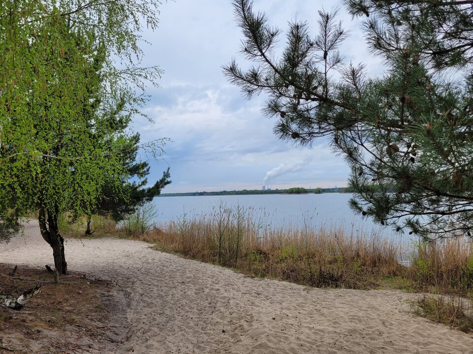 20250418_111929.jpg - Marcin_grzybowice