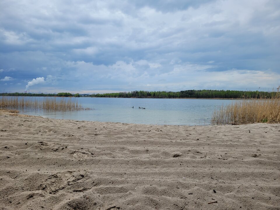 20250418_113256.jpg - Marcin_grzybowice