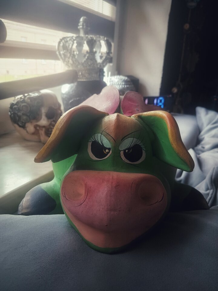 Haliina się bierze do roboty - agamich