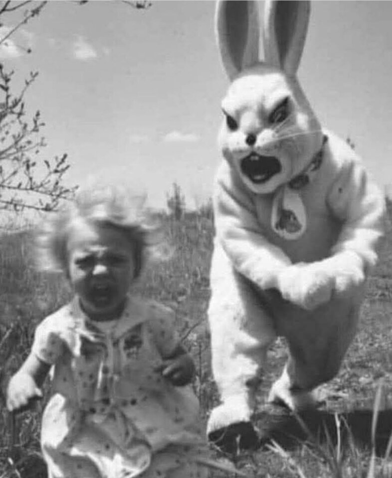 1000017328.jpg - Operator_odkurzacza