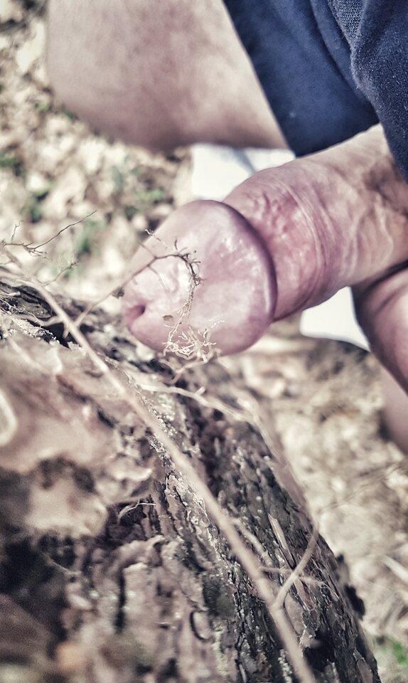 20250418_120816-01.jpeg - YourSong