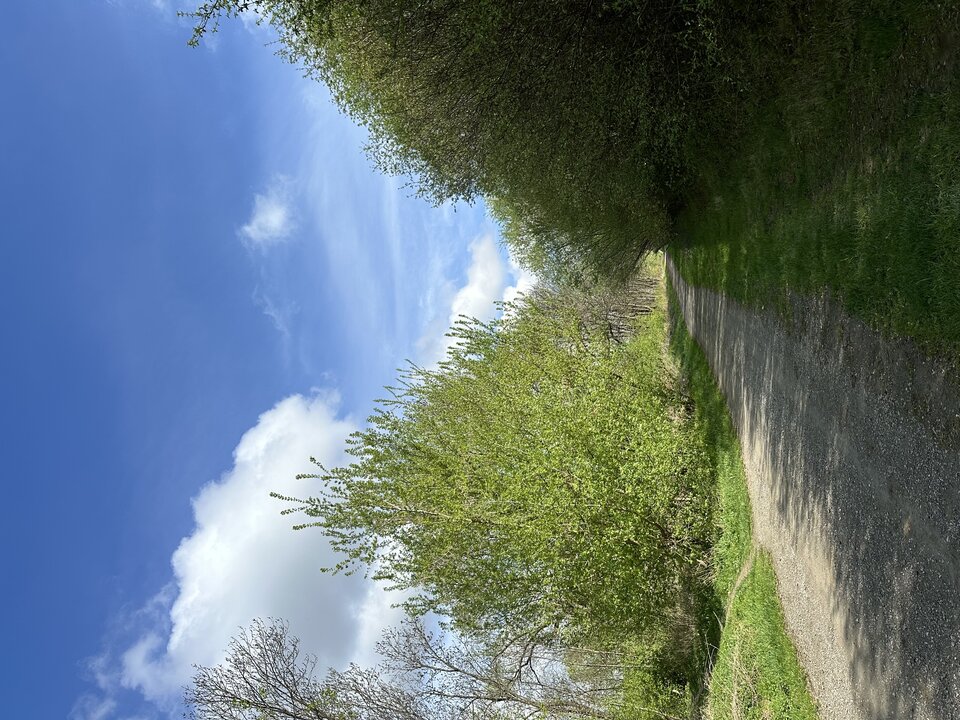 Co można zrobić w takim miejscu….  - macio198