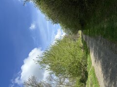 Co można zrobić w takim miejscu…. 