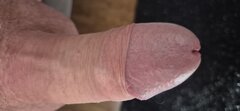 20250419_120818.jpg