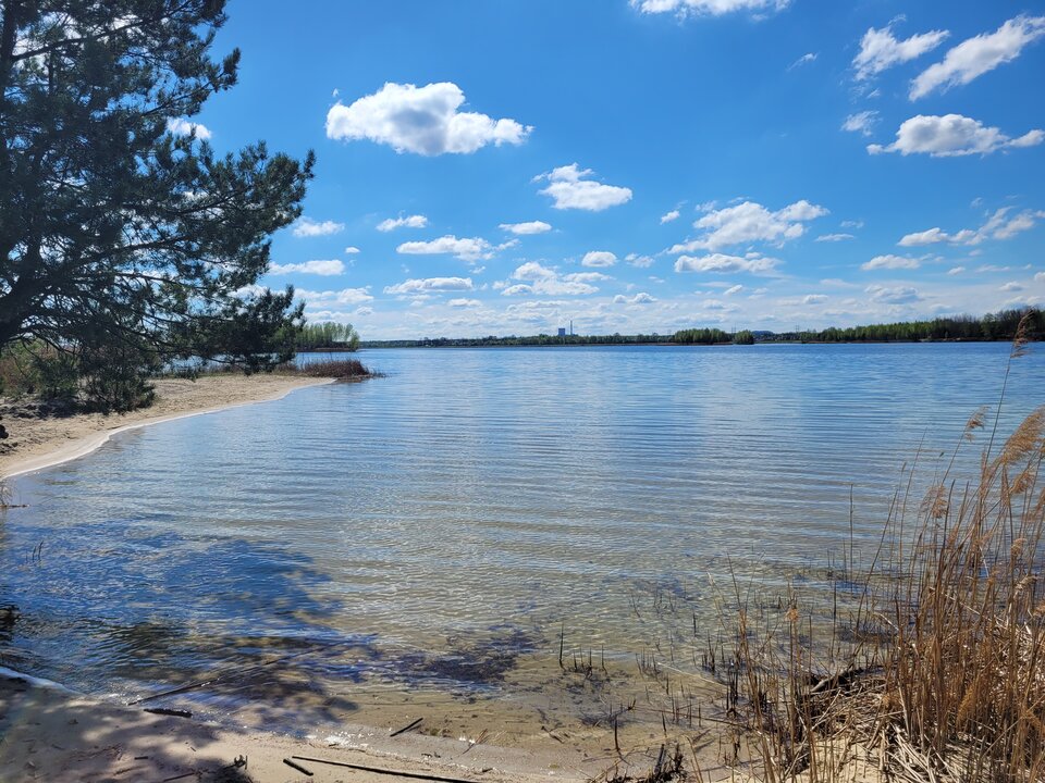 20250419_135826.jpg - Marcin_grzybowice