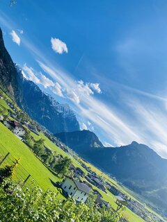 IMG_3901.jpeg
