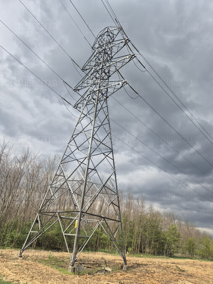 Ze spacerku I - CalusniczkaM