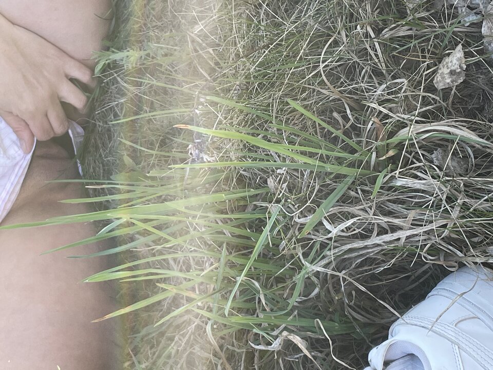 IMG_0642.jpeg - superparkaxxx