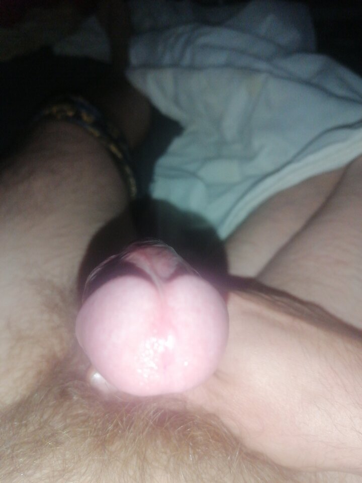 17451028746082678963708665795219.jpg - Karczek11