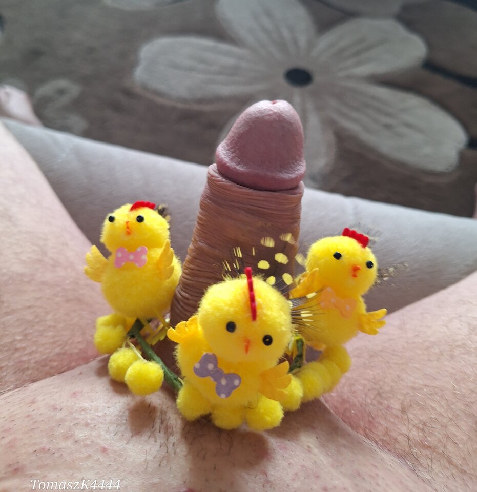 1000011107.jpg - TomaszK4444