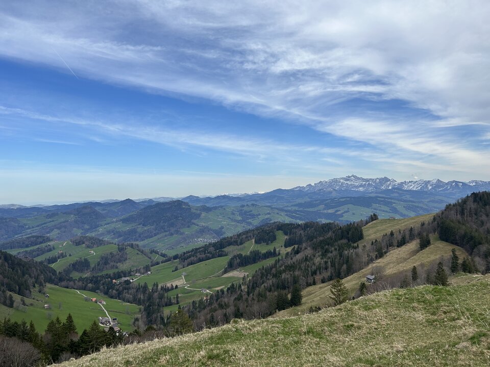 IMG_9105.jpeg - Nemo19799