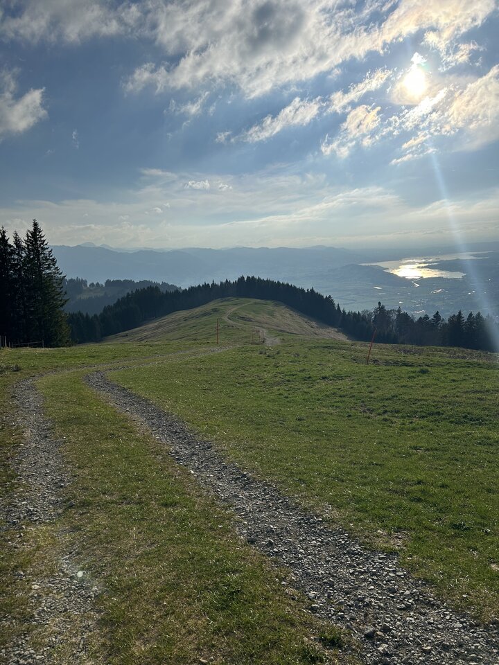 IMG_9191.jpeg - Nemo19799