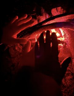 IMG_8226.jpeg