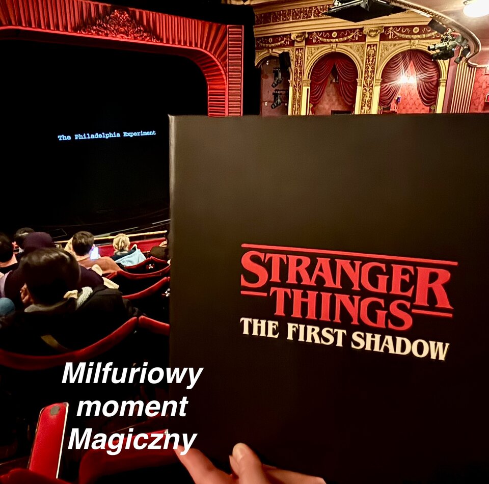Stranger Things : The First Shadow - milFuria