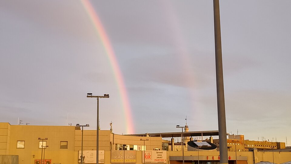 1000006817.jpg - Dyspozycyjny_bi