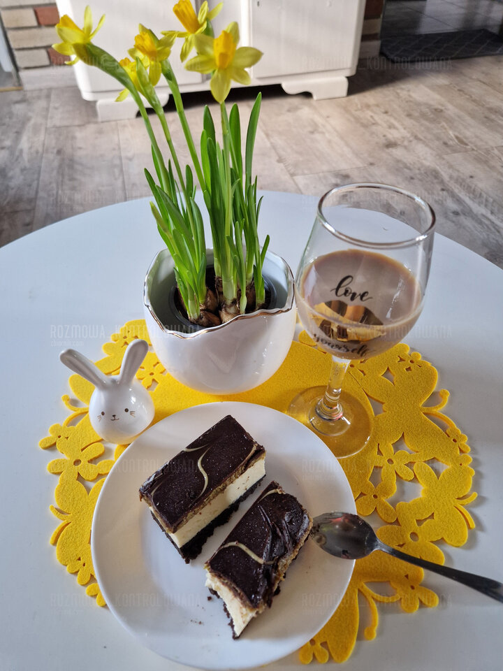 Serniczek🍰🍰 - rozmowa_kontrolowana