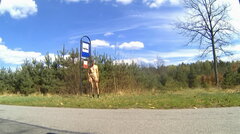 BIBIELA - przystanek Imielów 20250420_1319.mp4_snapshot_00.20_[
