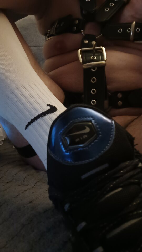 1000020886.jpg - davidudav