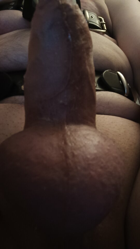 1000020887.jpg - davidudav