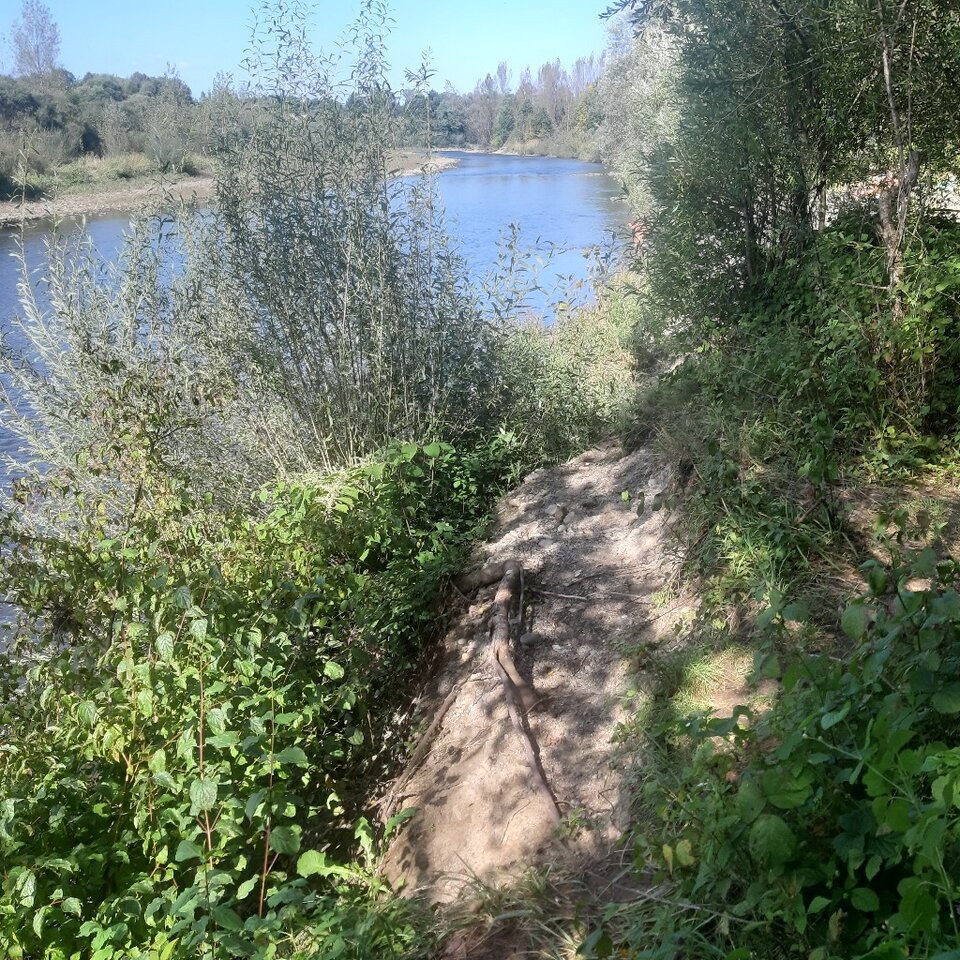 20230921_115631.jpg - Ali70plus