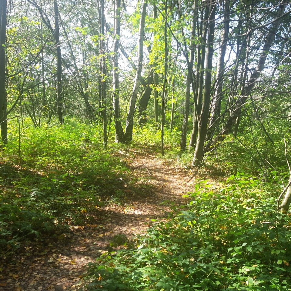 20230921_115539.jpg - Ali70plus