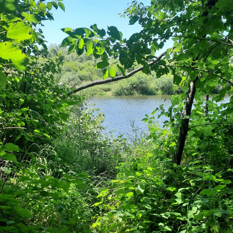 20230708_132225.jpg - Ali70plus