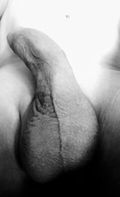 IMG_20250421_112008_735 (1) (1).jpg