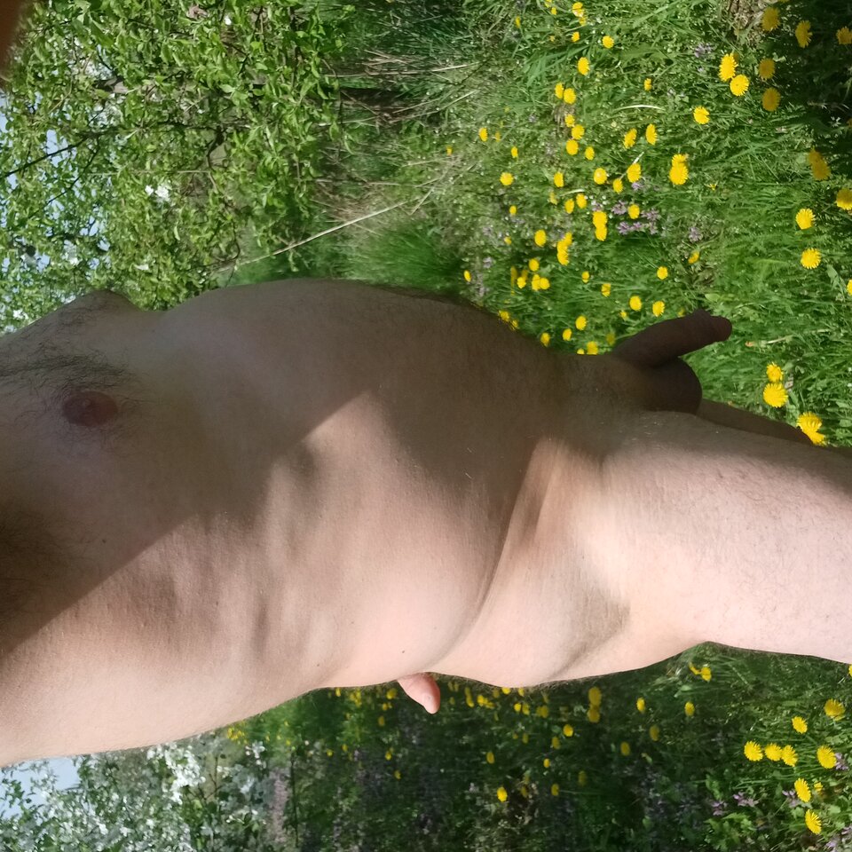 20250421_120723.jpg - Wpja