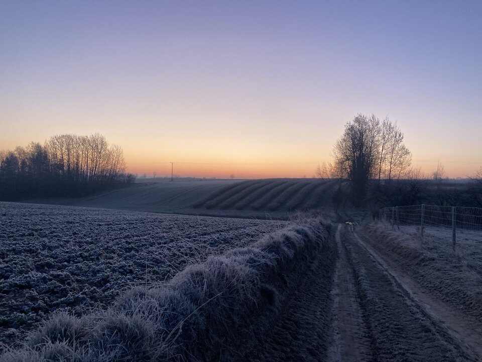 IMG_2331.jpeg - Damapik78