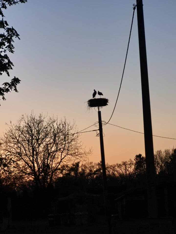 1000022000.jpg - Miniek234