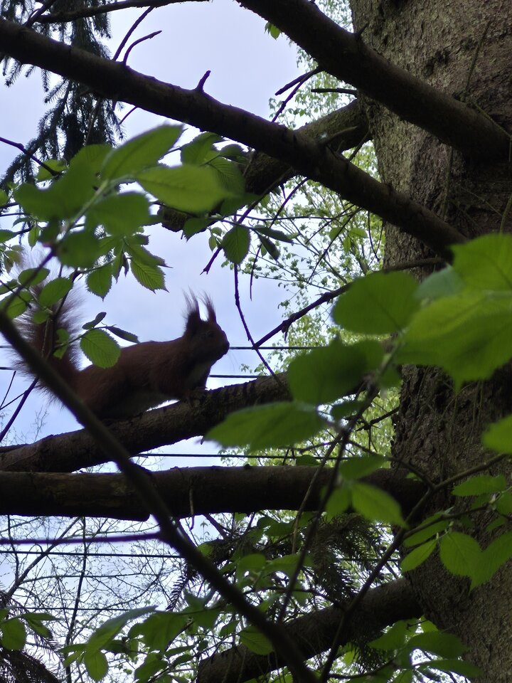 1000022017.jpg - Miniek234