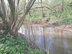 20250421_172959[1].jpg