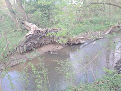 20250421_170611[1].jpg