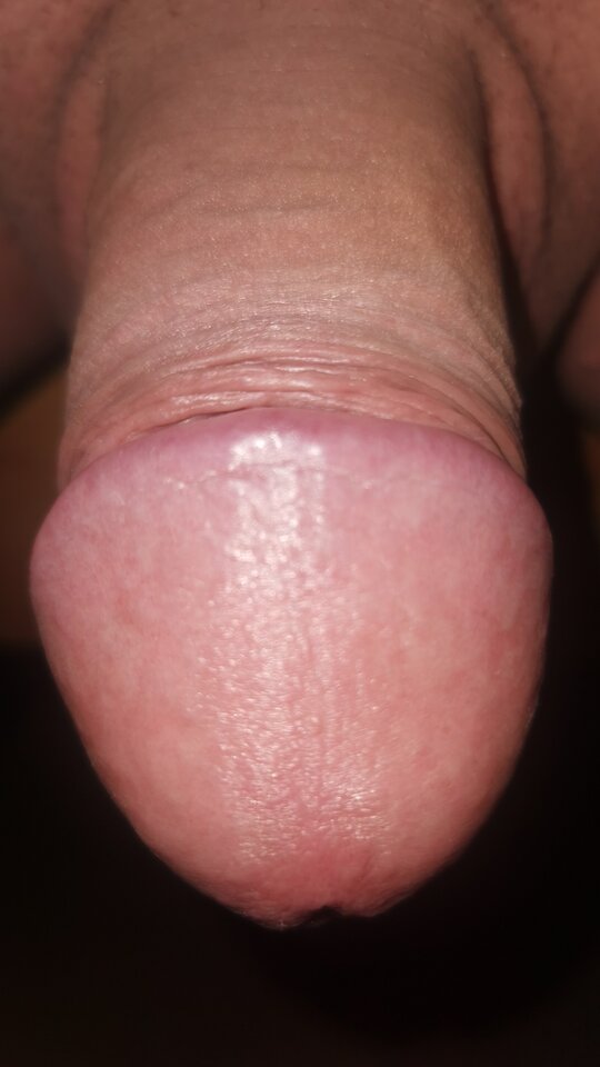 IMG-20250421-WA0022.jpeg - Kaispio