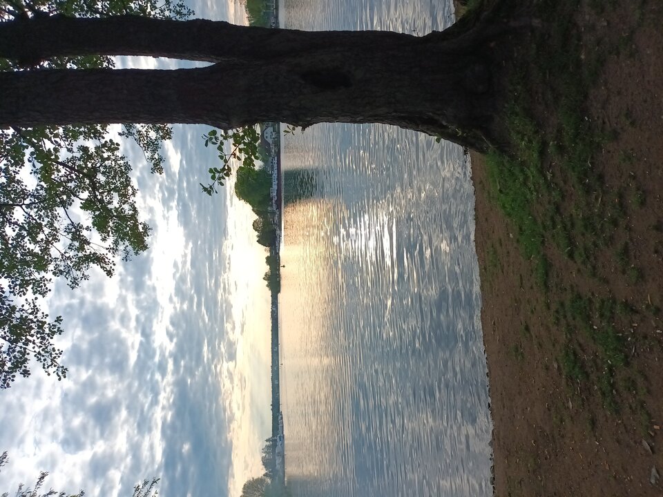 20250422_185919.jpg - Piotr45real