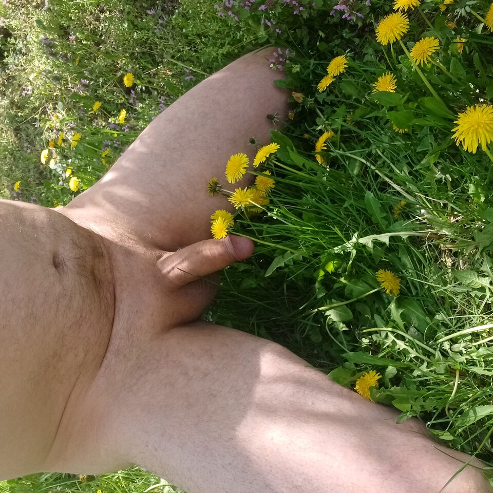 20250421_125152.jpg - Wpja