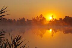 Gdzie się ukryłaś Świtezianko?