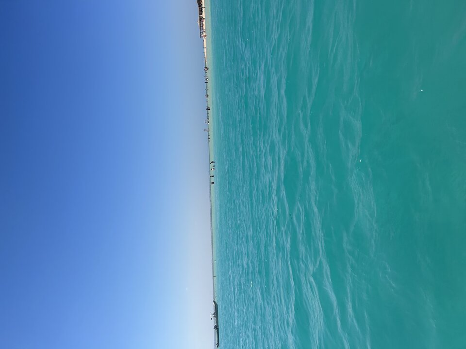 16E950DB-B0EA-49DD-BCF4-F6A88F87DF14.jpeg - _parka