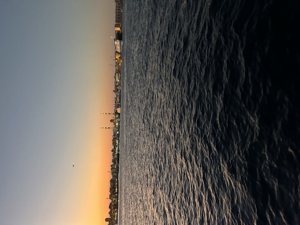 F9F91DCD-B107-458D-A6DD-8237F4265758.jpeg - _parka