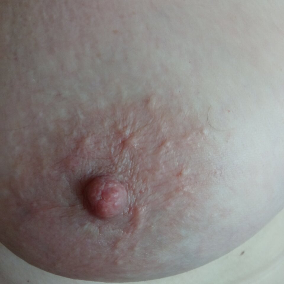 IMG_20250423_114421.jpg - olla55