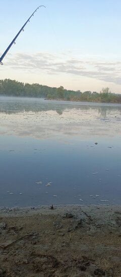 IMG_20250421_061049_948.jpg