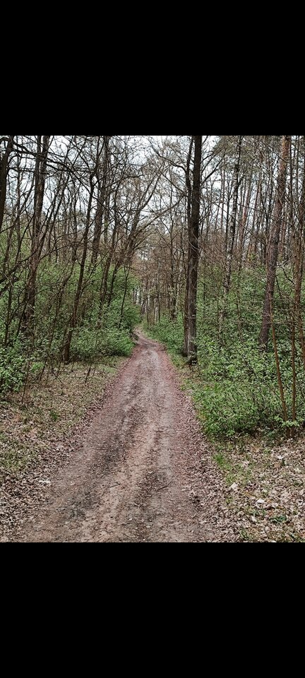 1000008277.jpg - ciekawybi1982