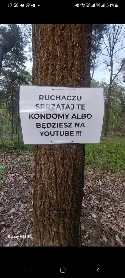 Uwaga, szanuj Polskie lasy😁 - fisu