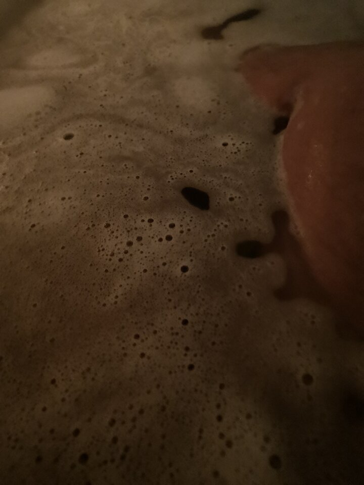 IMG_20250423_210133.jpg - karol1561