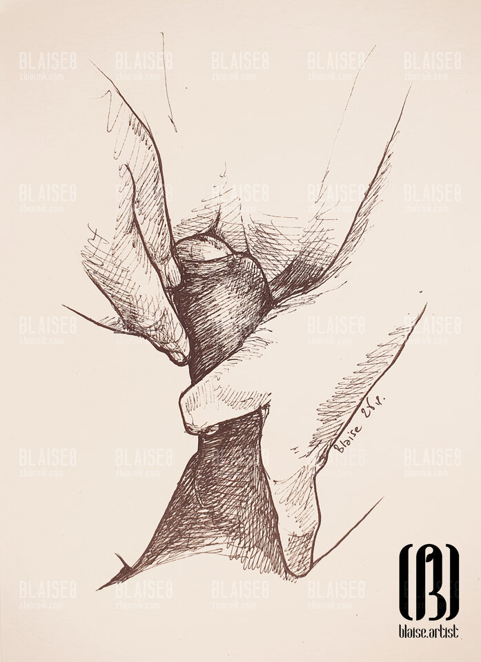 Art. No. 324 - blaise8