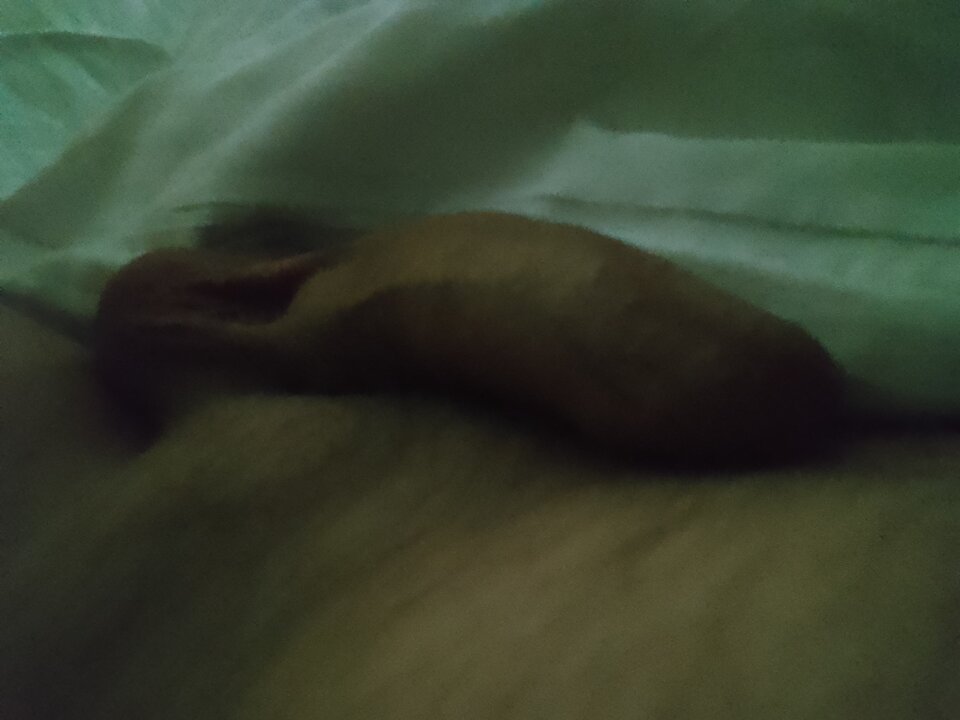 IMG_20250424_071457.jpg - Adam280185