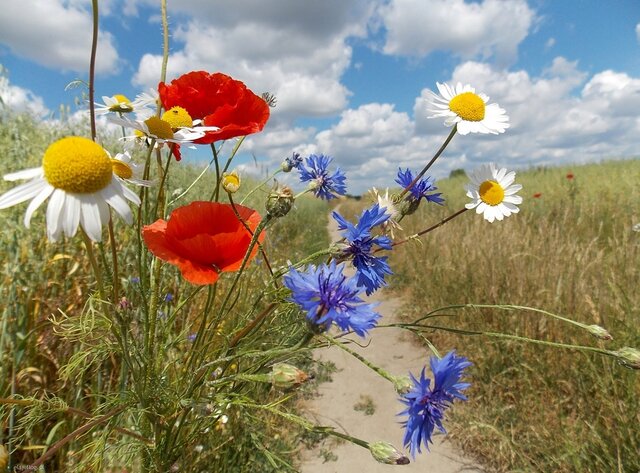 Dotyk_690