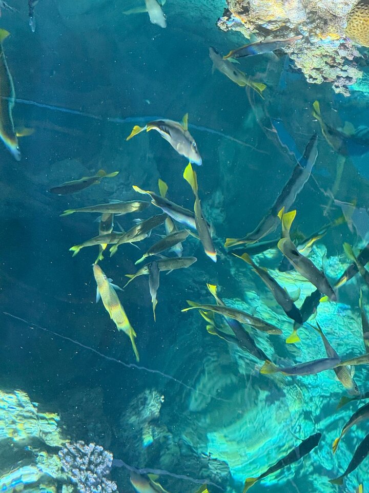 1000003363.jpg - Geralt197