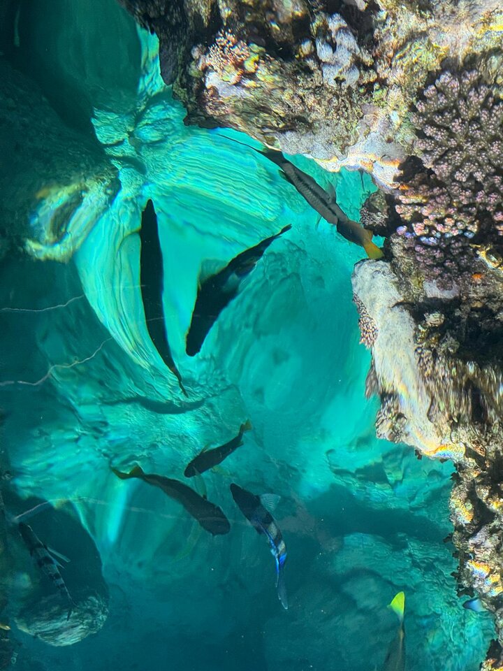 1000003365.jpg - Geralt197